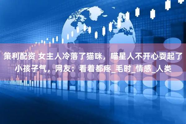 策利配资 女主人冷落了猫咪，喵星人不开心耍起了小孩子气，网友：看着都疼_毛时_情感_人类