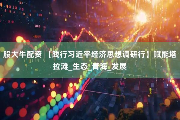 股大牛配资 【践行习近平经济思想调研行】赋能塔拉滩_生态_青海_发展