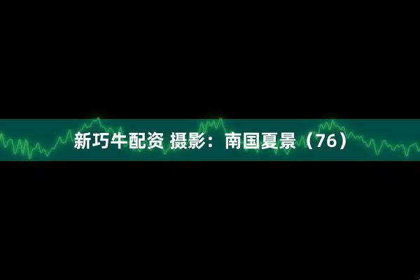 新巧牛配资 摄影：南国夏景（76）