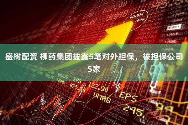 盛树配资 柳药集团披露5笔对外担保，被担保公司5家